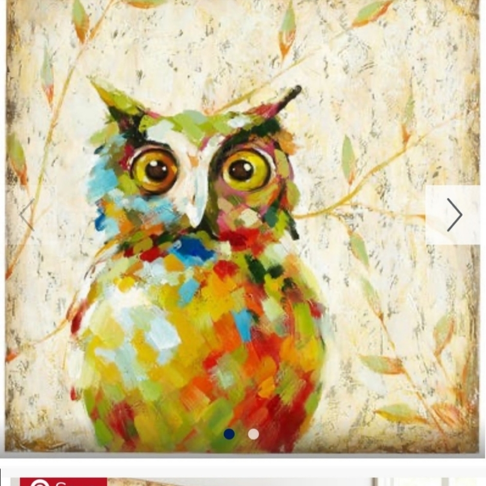 Pier one Querky owl picture